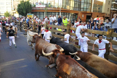 Fotos del encierro, despedida de gigantes, paellada popular y encierro infantil del último día de las fiestas de Tudela 2018, 29 de julio.