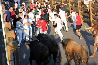 Fotos del encierro, despedida de gigantes, paellada popular y encierro infantil del último día de las fiestas de Tudela 2018, 29 de julio.