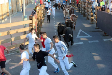 Fotos del encierro, despedida de gigantes, paellada popular y encierro infantil del último día de las fiestas de Tudela 2018, 29 de julio.