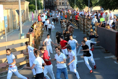 Fotos del encierro, despedida de gigantes, paellada popular y encierro infantil del último día de las fiestas de Tudela 2018, 29 de julio.