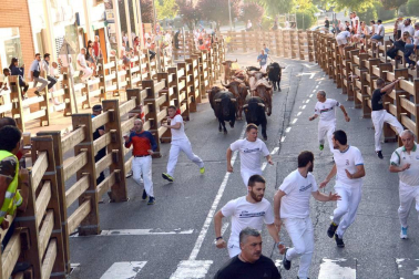 Fotos del encierro, despedida de gigantes, paellada popular y encierro infantil del último día de las fiestas de Tudela 2018, 29 de julio.
