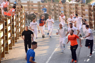 Fotos del encierro, despedida de gigantes, paellada popular y encierro infantil del último día de las fiestas de Tudela 2018, 29 de julio.