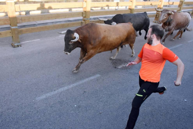 Fotos del encierro, despedida de gigantes, paellada popular y encierro infantil del último día de las fiestas de Tudela 2018, 29 de julio.