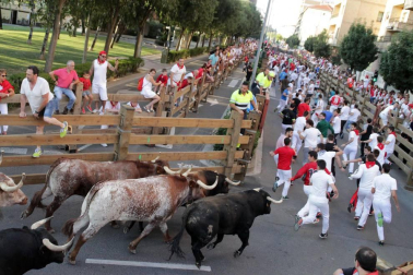 Fotos del encierro, despedida de gigantes, paellada popular y encierro infantil del último día de las fiestas de Tudela 2018, 29 de julio.
