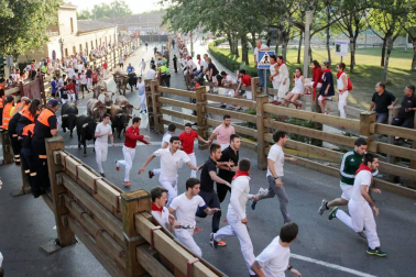 Fotos del encierro, despedida de gigantes, paellada popular y encierro infantil del último día de las fiestas de Tudela 2018, 29 de julio.