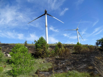 El fuego del molino provocó este domingo un incendio forestal con varios focos