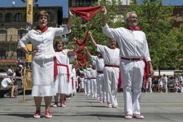 Comienzan las fiestas de la ciudad del Ega. La bajadica del Puy, la bajada del Ega, el Baile de La Era y la salida de la Comparsa de Gigantes y cabezudos han sido los principales actos del primer día de fiestas.