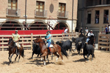 Larraga albergó el pasado fin de semana su ya tradicional Fiesta de la Vaca Brava, que este año cumple su decimoctava edición. Además de la exhibición de doma a caballo en la plaza, vecinos y turistas pudieron disfrutar por tercer año consecutivo de una espectacular trashumancia desde los campos de la villa hasta la plaza del consistorio y una degustación de cordero de denominación de origen navarro para los paladares más finos.