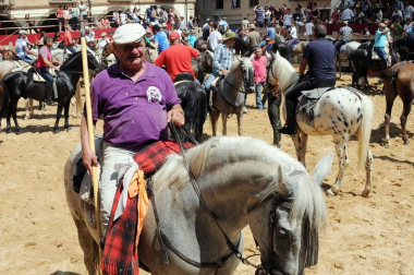 Larraga albergó el pasado fin de semana su ya tradicional Fiesta de la Vaca Brava, que este año cumple su decimoctava edición. Además de la exhibición de doma a caballo en la plaza, vecinos y turistas pudieron disfrutar por tercer año consecutivo de una espectacular trashumancia desde los campos de la villa hasta la plaza del consistorio y una degustación de cordero de denominación de origen navarro para los paladares más finos.