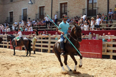 Larraga albergó el pasado fin de semana su ya tradicional Fiesta de la Vaca Brava, que este año cumple su decimoctava edición. Además de la exhibición de doma a caballo en la plaza, vecinos y turistas pudieron disfrutar por tercer año consecutivo de una espectacular trashumancia desde los campos de la villa hasta la plaza del consistorio y una degustación de cordero de denominación de origen navarro para los paladares más finos.