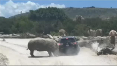 Susto en un safari de México