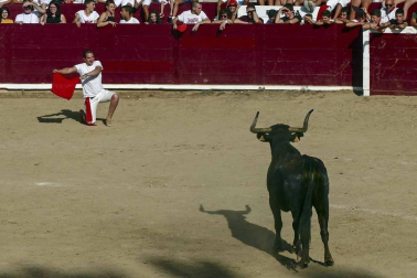 La Pañuelada de los chicos y la procesión han sido algunos de los actos principales de este domingo 5 de agosto, tercer día de fiestas de la ciudad del Ega