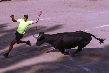 La Pañuelada de los chicos y la procesión han sido algunos de los actos principales de este domingo 5 de agosto, tercer día de fiestas de la ciudad del Ega