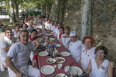 Imágenes de las Fiestas de Estella que comprenden: la verbena de plaza de los Fueros, homenaje a los mayores, bombada, Gorgorito, comidas de Quintos en el paseo de los Llanos, baile de la era y popurri estellés.