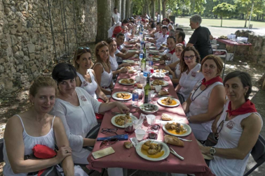 Imágenes de las Fiestas de Estella que comprenden: la verbena de plaza de los Fueros, homenaje a los mayores, bombada, Gorgorito, comidas de Quintos en el paseo de los Llanos, baile de la era y popurri estellés.