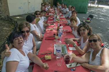 Imágenes de las Fiestas de Estella que comprenden: la verbena de plaza de los Fueros, homenaje a los mayores, bombada, Gorgorito, comidas de Quintos en el paseo de los Llanos, baile de la era y popurri estellés.
