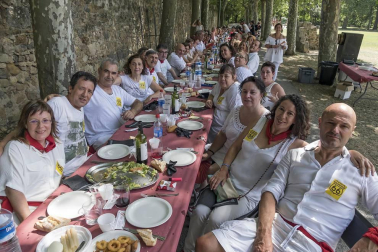 Imágenes de las Fiestas de Estella que comprenden: la verbena de plaza de los Fueros, homenaje a los mayores, bombada, Gorgorito, comidas de Quintos en el paseo de los Llanos, baile de la era y popurri estellés.