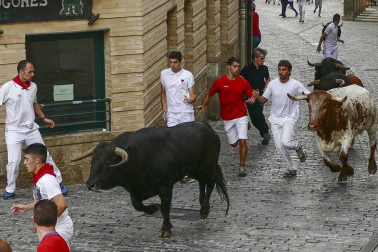 Imágenes de la cornada en el encierro de Estella, bajadica de Che, cohete infantil, subida de la corporación infantil, ofrenda floral, pañuelada, entre otros.