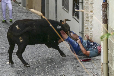 Imágenes de la cornada en el encierro de Estella, bajadica de Che, cohete infantil, subida de la corporación infantil, ofrenda floral, pañuelada, entre otros.