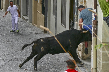 Imágenes de la cornada en el encierro de Estella, bajadica de Che, cohete infantil, subida de la corporación infantil, ofrenda floral, pañuelada, entre otros.