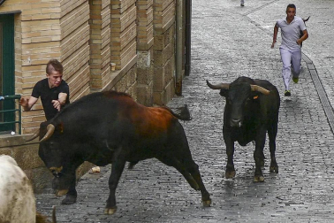 Imágenes de la cornada en el encierro de Estella, bajadica de Che, cohete infantil, subida de la corporación infantil, ofrenda floral, pañuelada, entre otros.