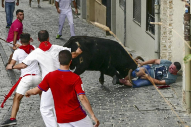 Imágenes de la cornada en el encierro de Estella, bajadica de Che, cohete infantil, subida de la corporación infantil, ofrenda floral, pañuelada, entre otros.