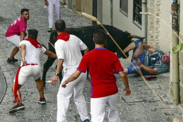 Imágenes de la cornada en el encierro de Estella, bajadica de Che, cohete infantil, subida de la corporación infantil, ofrenda floral, pañuelada, entre otros.