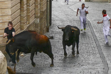 Imágenes de la cornada en el encierro de Estella, bajadica de Che, cohete infantil, subida de la corporación infantil, ofrenda floral, pañuelada, entre otros.