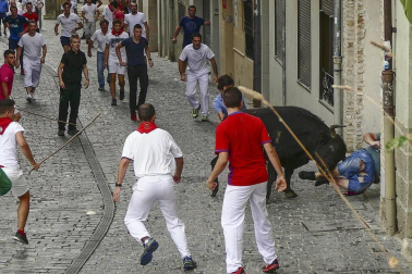 Imágenes de la cornada en el encierro de Estella, bajadica de Che, cohete infantil, subida de la corporación infantil, ofrenda floral, pañuelada, entre otros.