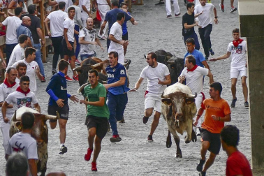 Imágenes de la cornada en el encierro de Estella, bajadica de Che, cohete infantil, subida de la corporación infantil, ofrenda floral, pañuelada, entre otros.