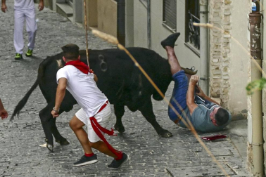 Imágenes de la cornada en el encierro de Estella, bajadica de Che, cohete infantil, subida de la corporación infantil, ofrenda floral, pañuelada, entre otros.
