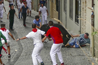 Imágenes de la cornada en el encierro de Estella, bajadica de Che, cohete infantil, subida de la corporación infantil, ofrenda floral, pañuelada, entre otros.