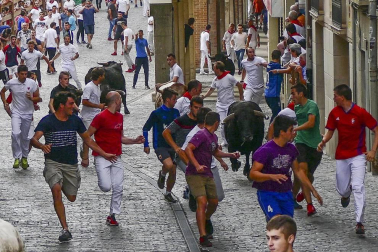 Imágenes de la cornada en el encierro de Estella, bajadica de Che, cohete infantil, subida de la corporación infantil, ofrenda floral, pañuelada, entre otros.