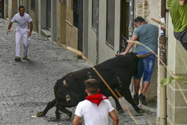 Imágenes de la cornada en el encierro de Estella, bajadica de Che, cohete infantil, subida de la corporación infantil, ofrenda floral, pañuelada, entre otros.