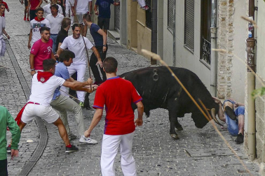 Un mozo ha sido corneado por un novillo que se ha dado la vuelta en el cuarto encierro de las fiestas de Estella