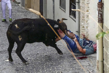 Un mozo ha sido corneado por un novillo que se ha dado la vuelta en el cuarto encierro de las fiestas de Estella