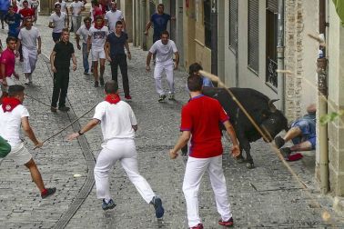 Un mozo ha sido corneado por un novillo que se ha dado la vuelta en el cuarto encierro de las fiestas de Estella