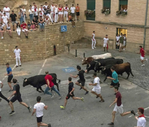 Doctor Deseo abarrotó la plaza de los Fueros en el concierto de la noche del martes; y el miércoles fue el turno de la recepción por parte del Ayuntamiento de los alcaldes de la merindad de Estella, y de la comida solidaria
