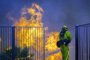 Las imágenes más llamativas de las últimas horas