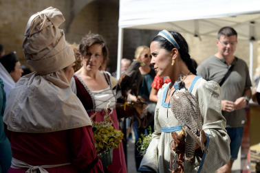 Olite se engalana por su feria medieval