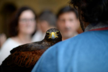 Olite se engalana por su feria medieval
