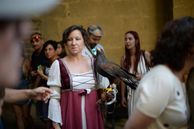 Olite se engalana por su feria medieval