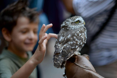 Olite se engalana por su feria medieval