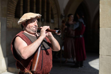 Olite se engalana por su feria medieval