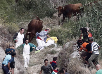 Las vacas de la ganadería Manolo Merino, de Marcilla, han protagonizado un encierro muy rápido y limpio.