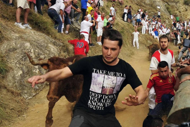 Las vacas de la ganadería Manolo Merino, de Marcilla, han protagonizado un encierro muy rápido y limpio.