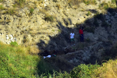 Fotos del segundo encierro del Pilón de Falces