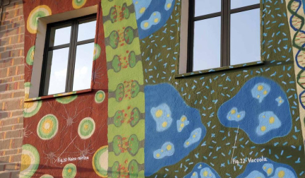 Médico, investigador y premio Nobel, Santiago Ramón y Cajal fue también un artista, con unos dibujos de células neuronales muy fieles a la realidad. Los vecinos de su pueblo y el grafitero Jabier Landa le han homenajeado pintando el hostal
