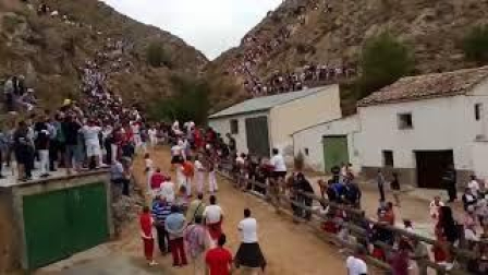Un grupo de mozos baja a cuestas una vaca en el tercer Pilón de Falces