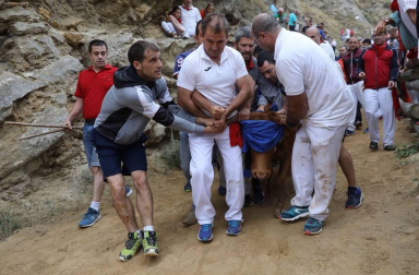 La ganadería Hípica Zahorí ha protagonizado un emocionante tercer encierro del Pilón en las fiestas de Falces, 2018, este martes 14 de agosto.